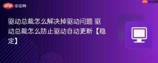 驱动总裁怎么解决掉驱动问题 驱动总裁怎么防止驱动自动更新【稳定】