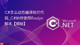 c#怎么动态编译执行代码_c#如何使用roslyn脚本【揭秘】