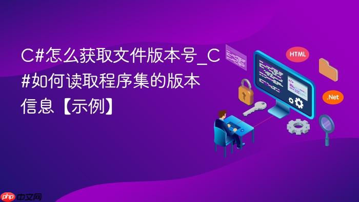 c#怎么获取文件版本号_c#如何读取程序集的版本信息【示例】