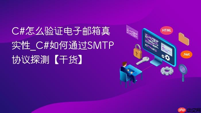 c#怎么验证电子邮箱真实性_c#如何通过smtp协议探测【干货】