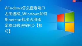 windows怎么查看端口占用进程_windows如何用netstat找出占用指定端口的进程pid【技巧】