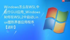 Windows怎么在WSL中运行GUI应用_Windows如何在WSL2中启动Linux图形界面应用程序【进阶】