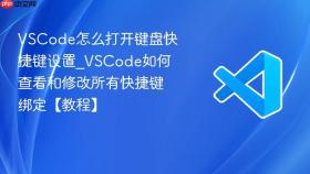 VSCode怎么打开键盘快捷键设置_VSCode如何查看和修改所有快捷键绑定【教程】