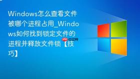 windows怎么查看文件被哪个进程占用_windows如何找到锁定文件的进程并释放文件锁【技巧】