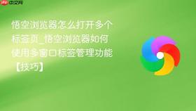 悟空浏览器怎么打开多个标签页_悟空浏览器如何使用多窗口标签管理功能【技巧】
