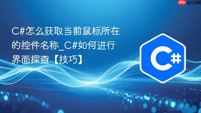 c#怎么获取当前鼠标所在的控件名称_c#如何进行界面探查【技巧】