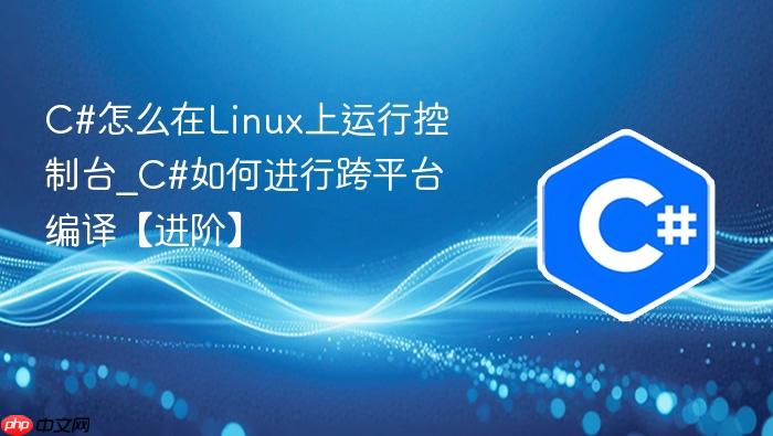 c#怎么在linux上运行控制台_c#如何进行跨平台编译【进阶】