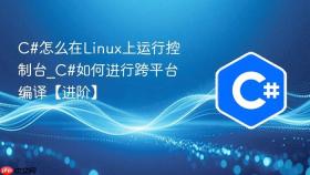 c#怎么在linux上运行控制台_c#如何进行跨平台编译【进阶】