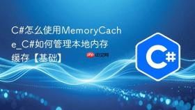 c#怎么使用memorycache_c#如何管理本地内存缓存【基础】