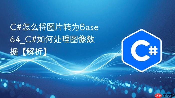 c#怎么将图片转为base64_c#如何处理图像数据【解析】