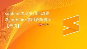 sublime怎么关闭自动更新_sublime禁用更新提示【干货】
