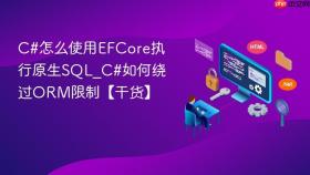 c#怎么使用efcore执行原生sql_c#如何绕过orm限制【干货】