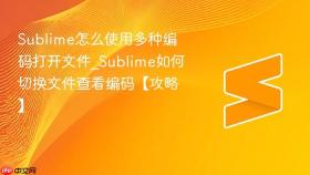 sublime怎么使用多种编码打开文件_sublime如何切换文件查看编码【攻略】