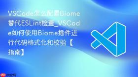 vscode怎么配置biome替代eslint检查_vscode如何使用biome插件进行代码格式化和校验【指南】