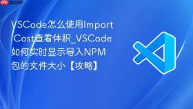 vscode怎么使用import cost查看体积_vscode如何实时显示导入npm包的文件大小【攻略】