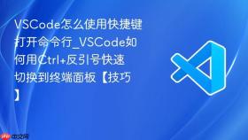 vscode怎么使用快捷键打开命令行_vscode如何用ctrl+反引号快速切换到终端面板【技巧】