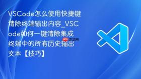 vscode怎么使用快捷键清除终端输出内容_vscode如何一键清除集成终端中的所有历史输出文本【技巧】