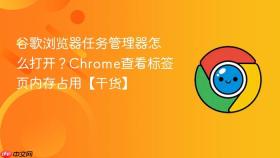 谷歌浏览器任务管理器怎么打开？chrome查看标签页内存占用【干货】