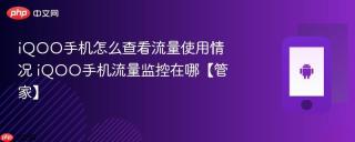 iqoo手机怎么查看流量使用情况 iqoo手机流量监控在哪【管家】