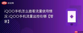 iQOO手机怎么查看流量使用情况 iQOO手机流量监控在哪【管家】