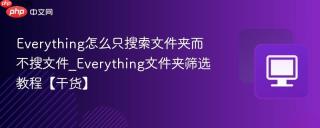 everything怎么只搜索文件夹而不搜文件_everything文件夹筛选教程【干货】