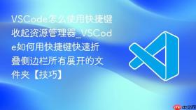 vscode怎么使用快捷键收起资源管理器_vscode如何用快捷键快速折叠侧边栏所有展开的文件夹【技巧】