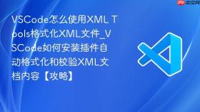 vscode怎么使用xml tools格式化xml文件_vscode如何安装插件自动格式化和校验xml文档内容【攻略】