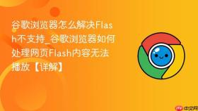 谷歌浏览器怎么解决flash不支持_谷歌浏览器如何处理网页flash内容无法播放【详解】