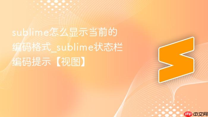 sublime怎么显示当前的编码格式_sublime状态栏编码提示【视图】