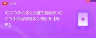 iQOO手机怎么设置手势导航 iQOO手机返回键怎么调出来【导航】