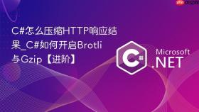 c#怎么压缩http响应结果_c#如何开启brotli与gzip【进阶】