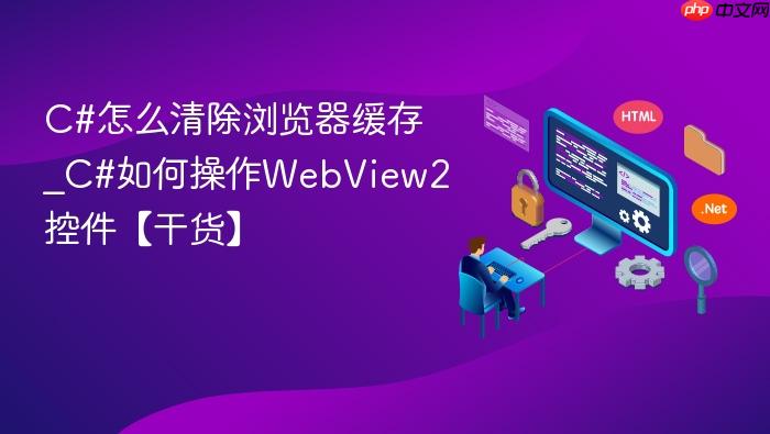 c#怎么清除浏览器缓存_c#如何操作webview2控件【干货】