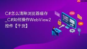 c#怎么清除浏览器缓存_c#如何操作webview2控件【干货】