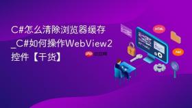 C#怎么清除浏览器缓存_C#如何操作WebView2控件【干货】