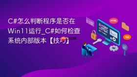 c#怎么判断程序是否在win11运行_c#如何检查系统内部版本【技巧】