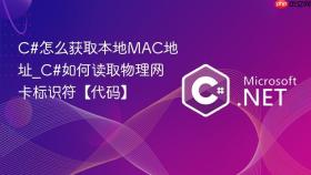 c#怎么获取本地mac地址_c#如何读取物理网卡标识符【代码】