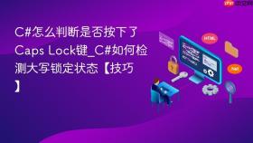 c#怎么判断是否按下了caps lock键_c#如何检测大写锁定状态【技巧】