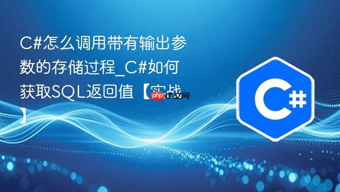 c#怎么调用带有输出参数的存储过程_c#如何获取sql返回值【实战】