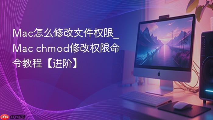 mac怎么修改文件权限_mac chmod修改权限命令教程【进阶】