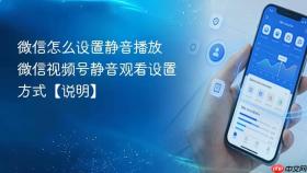微信怎么设置静音播放 微信视频号静音观看设置方式【说明】