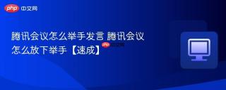 腾讯会议怎么举手发言 腾讯会议怎么放下举手【速成】