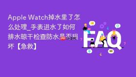 Apple Watch掉水里了怎么处理_手表进水了如何排水晾干检查防水是否损坏【急救】