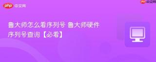 鲁大师怎么看序列号 鲁大师硬件序列号查询【必看】