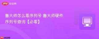 鲁大师怎么看序列号 鲁大师硬件序列号查询【必看】