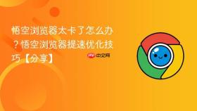 悟空浏览器太卡了怎么办?悟空浏览器提速优化技巧【分享】