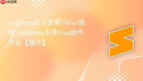 sublime怎么安装vetur插件_sublime支持vue组件开发【插件】