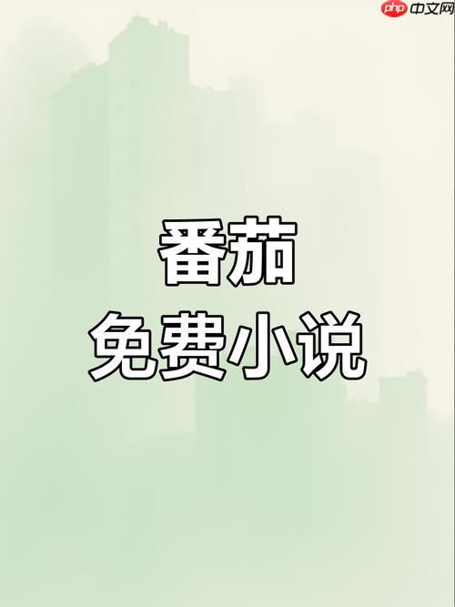 番茄免费小说官网首页 番茄小说网页版阅读入口