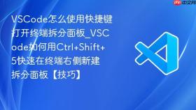 vscode怎么使用快捷键打开终端拆分面板_vscode如何用ctrl+shift+5快速在终端右侧新建拆分面板【技巧】