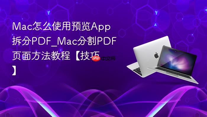 mac怎么使用预览app拆分pdf_mac分割pdf页面方法教程【技巧】