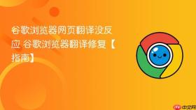 谷歌浏览器网页翻译没反应 谷歌浏览器翻译修复【指南】